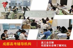 成都塔子山公园高考辅导机构学费,高三补