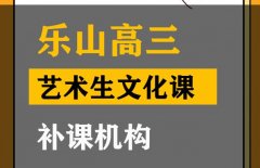 乐山美术生文化课补习班,高考文化课提分