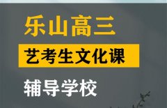 乐山音乐生文化课辅导学校,高三文化课提