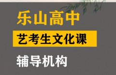 自贡音乐生文化课冲刺班,高中艺考生文化