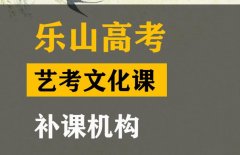 凉山音乐生文化课冲刺班,高考艺考文化课