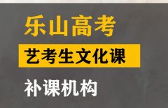 乐山传媒生文化课集训怎么收费,高考艺考