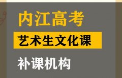 内江艺术生文化课补习班,高中文化课补课