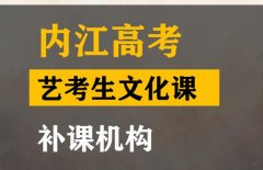 江油市音乐生文化课补习机构,高考艺考生