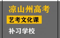 凉山音乐生文化课冲刺学校,高考艺考文化