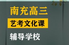 南充美术生文化课补习哪家好,高三艺考生