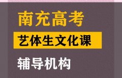 南充艺体生文化课培训学校,高三文化课辅