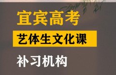 宜宾体育生文化课补习机构,高中文化课提