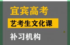 宜宾艺考生文化课考几门,高考文化课补习