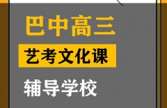 什邡市音乐生文化课补习中心,高三文化课