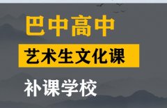 巴中美术生文化课补习学校,高三文化课补