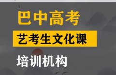 巴中音乐生文化课集训哪家好,高三艺考生