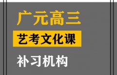 广元体育生文化课集训机构,高考文化课补