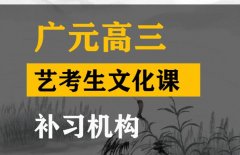 广元艺考生文化课是指哪几科,高考文化课