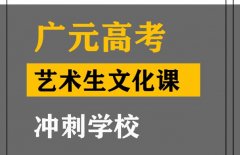 广元美术生文化课冲刺学校,高三文化课冲