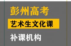 彭州市舞蹈生文化课集训机构,高考艺术生