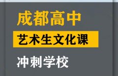 成都美术生文化课冲刺哪家好,高中艺术生