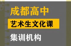 成都金牛区艺术生文化课辅导班,高考文化