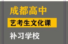 成都锦江区美术生文化课补课班,高三艺考