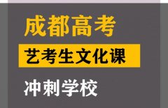 成都艺考生文化课冲刺学校,高中艺考生文