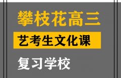 攀枝花传媒生文化课培训学校,高三艺考生