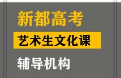 成都金牛区传媒生文化课补课机构,高考艺