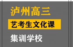 泸州艺考生文化课补习哪家好,高三艺考生