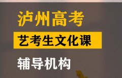 彭州市传媒生文化课补习机构,高考艺考生