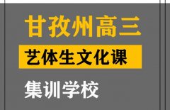 甘孜体育生文化课集训学校,高三文化课培