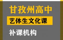 甘孜艺体生文化课补习机构,高三文化课补