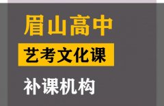 乐山艺术生文化课冲刺怎么收费,高中艺考