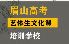 乐山艺体生文化课培训哪家好,高中文化课