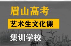 眉山艺考2023文化分要求,高中艺术生文化