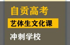 自贡音乐生文化课冲刺学校,高三文化课补