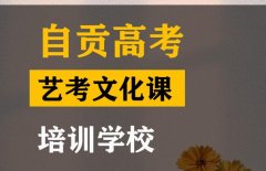 自贡艺考文化课培训机构,高考文化课集训