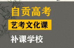 自贡音乐生文化课集训学校,高考艺考生文