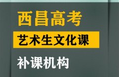 西昌体育生文化课冲刺机构,高中艺术生文