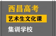 西昌美术生文化课冲刺怎么收费,高考艺术