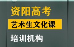 资阳美术生文化课培训学校,高中文化课集