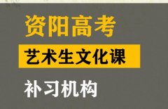 绵阳艺体生文化课集训机构,高考艺术生文