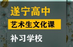 遂宁音乐生文化课辅导机构,高中文化课补