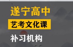 康定市舞蹈生文化课补习机构,高中艺考文