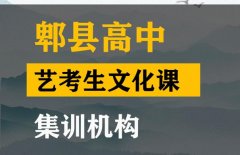 自贡艺体生文化课培训班,高中艺考生文化