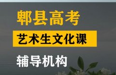 绵竹市表演生文化课冲刺学校,高考艺术生