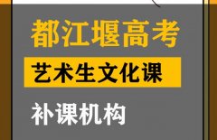 成都锦江区艺考文化课补课班,高考艺术生