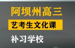 阿坝音乐生文化课补习机构,高考文化课补