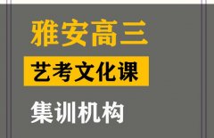 康定市舞蹈生文化课集训学校,高三文化课