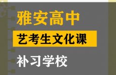 阆中市艺考生文化课补习中心,高三文化课