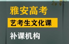 雅安艺考生文化课辅导怎么收费,高考艺考